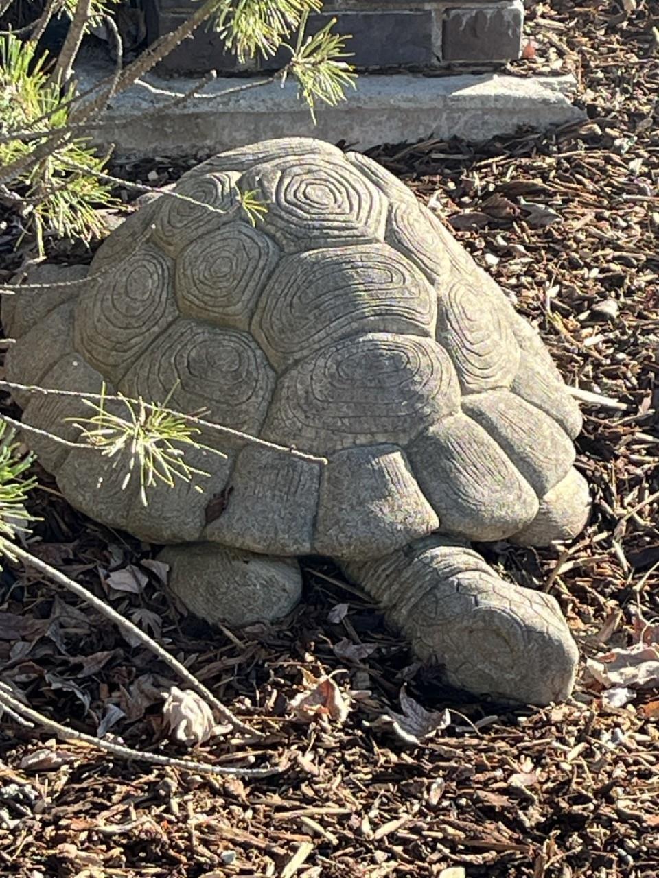 124 Ruby Ledge Court Grass Valley, CA 95945 - Photo 41 of 87