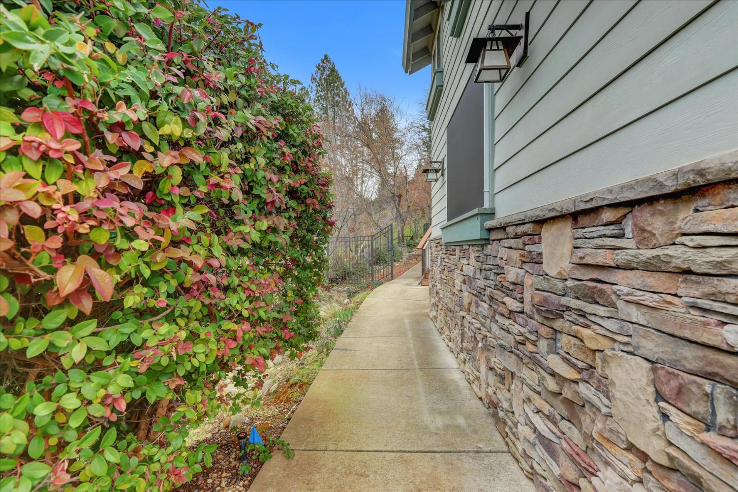 124 Ruby Ledge Court Grass Valley, CA 95945 - Photo 51 of 87 a backyard of a house with lots of green space
