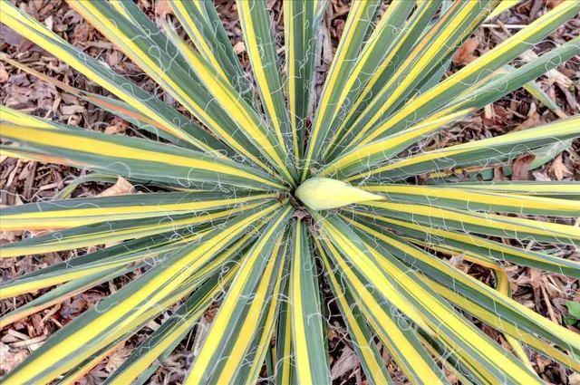 $659,900 | 124 Ruby Ledge Court, Grass Valley, CA 95945