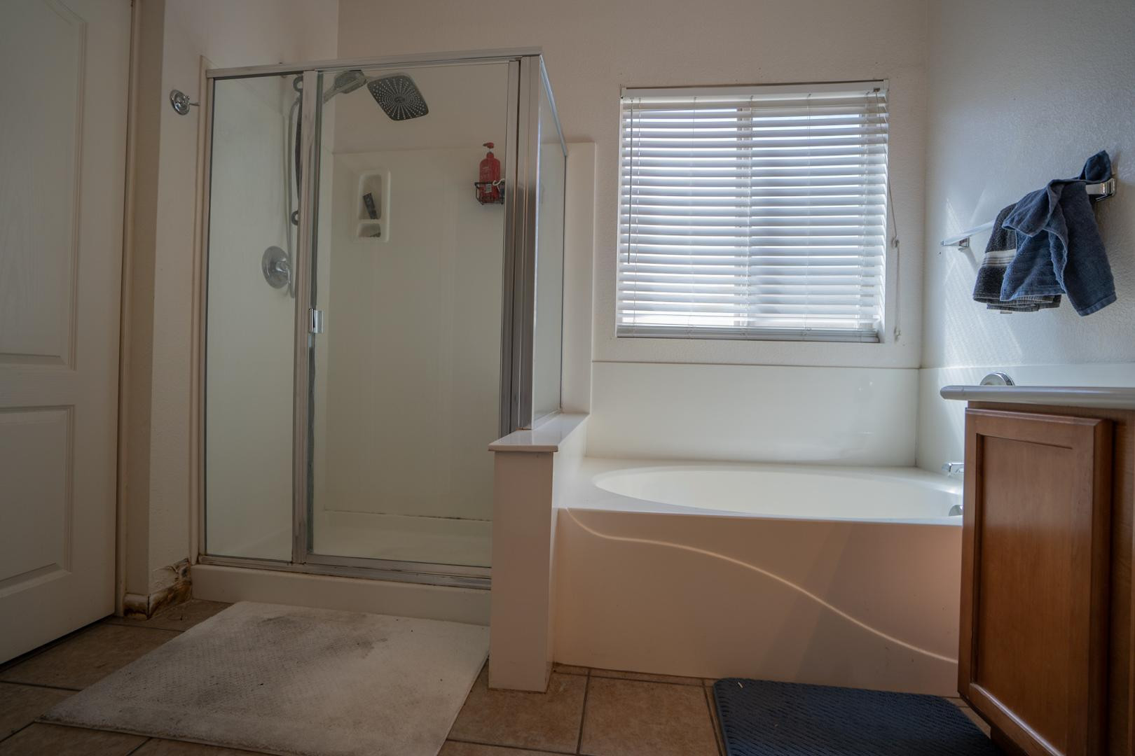 9377 West Milkweed Loop Phoenix, AZ 85037 - Photo 14 of 28 a bathroom with a bathtub and a shower