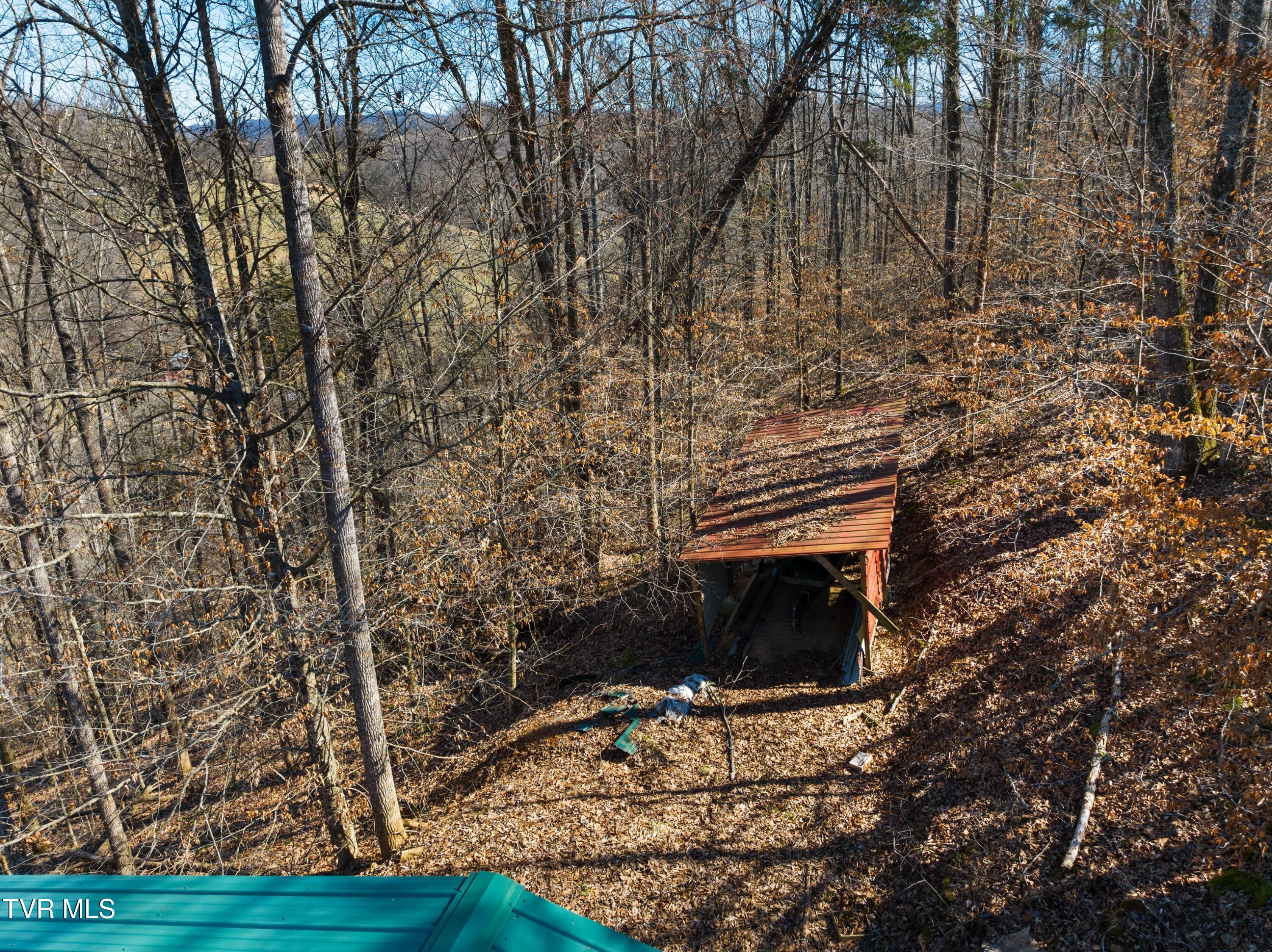 Tbd Cave Springs Road Tazewell, TN 37879 - Photo 5 of 37 006-CaveSpringsRoad-Tazewell-TN-37879-SM