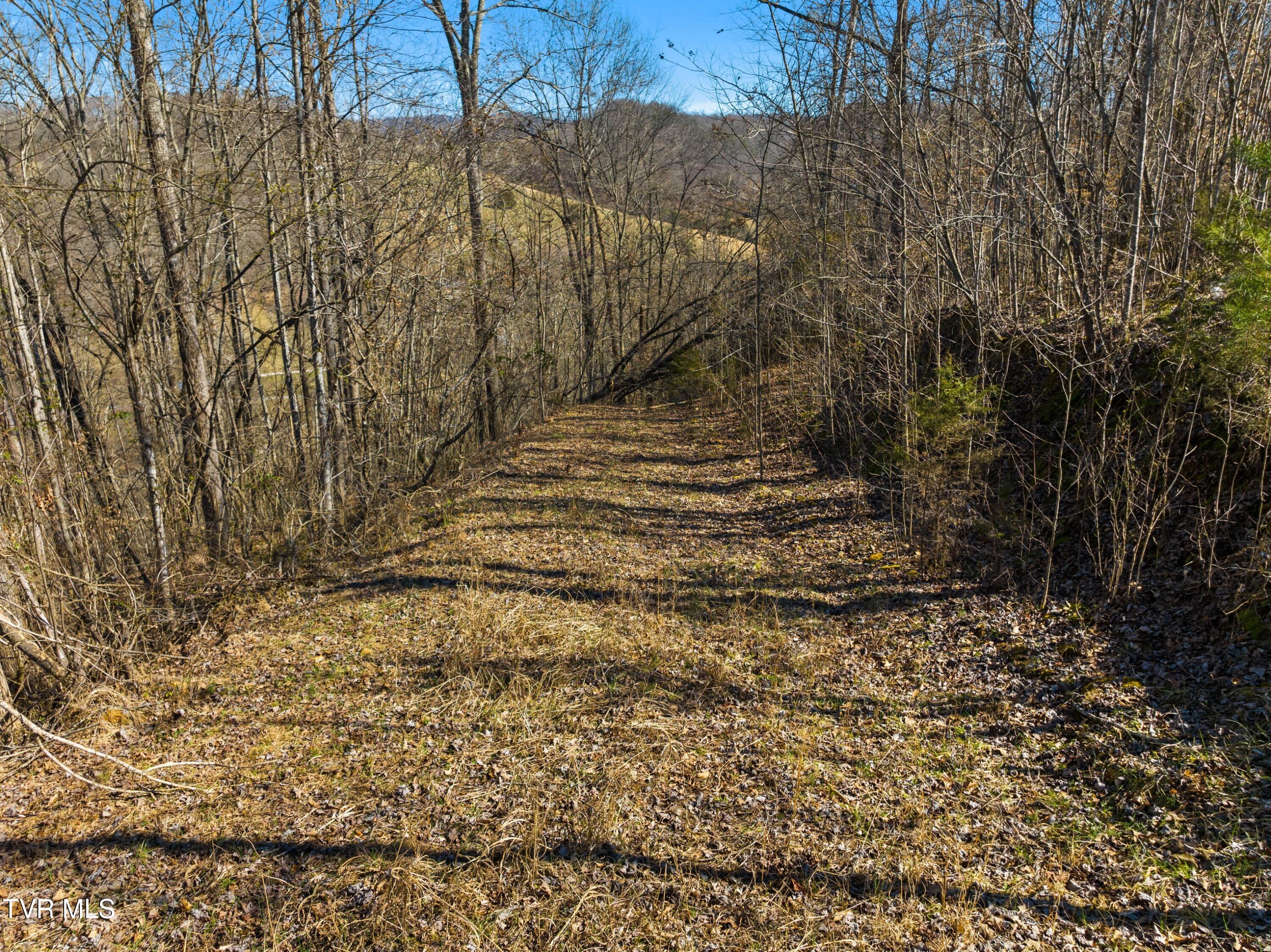 Tbd Cave Springs Road Tazewell, TN 37879 - Photo 6 of 37 031-CaveSpringsRoad-Tazewell-TN-37879-SM