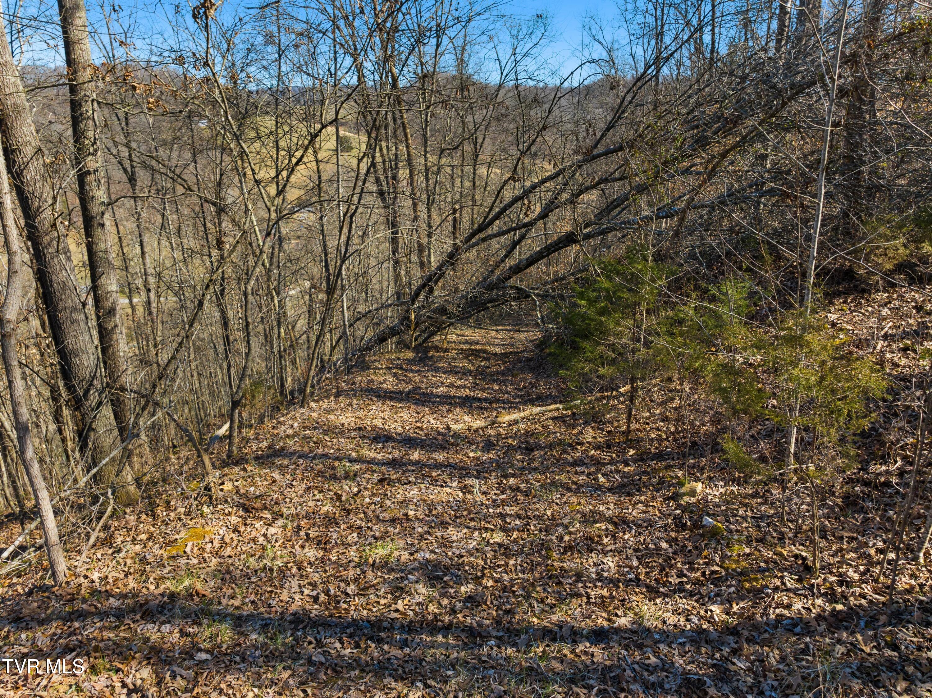 Tbd Cave Springs Road Tazewell, TN 37879 - Photo 7 of 37 032-CaveSpringsRoad-Tazewell-TN-37879-SM
