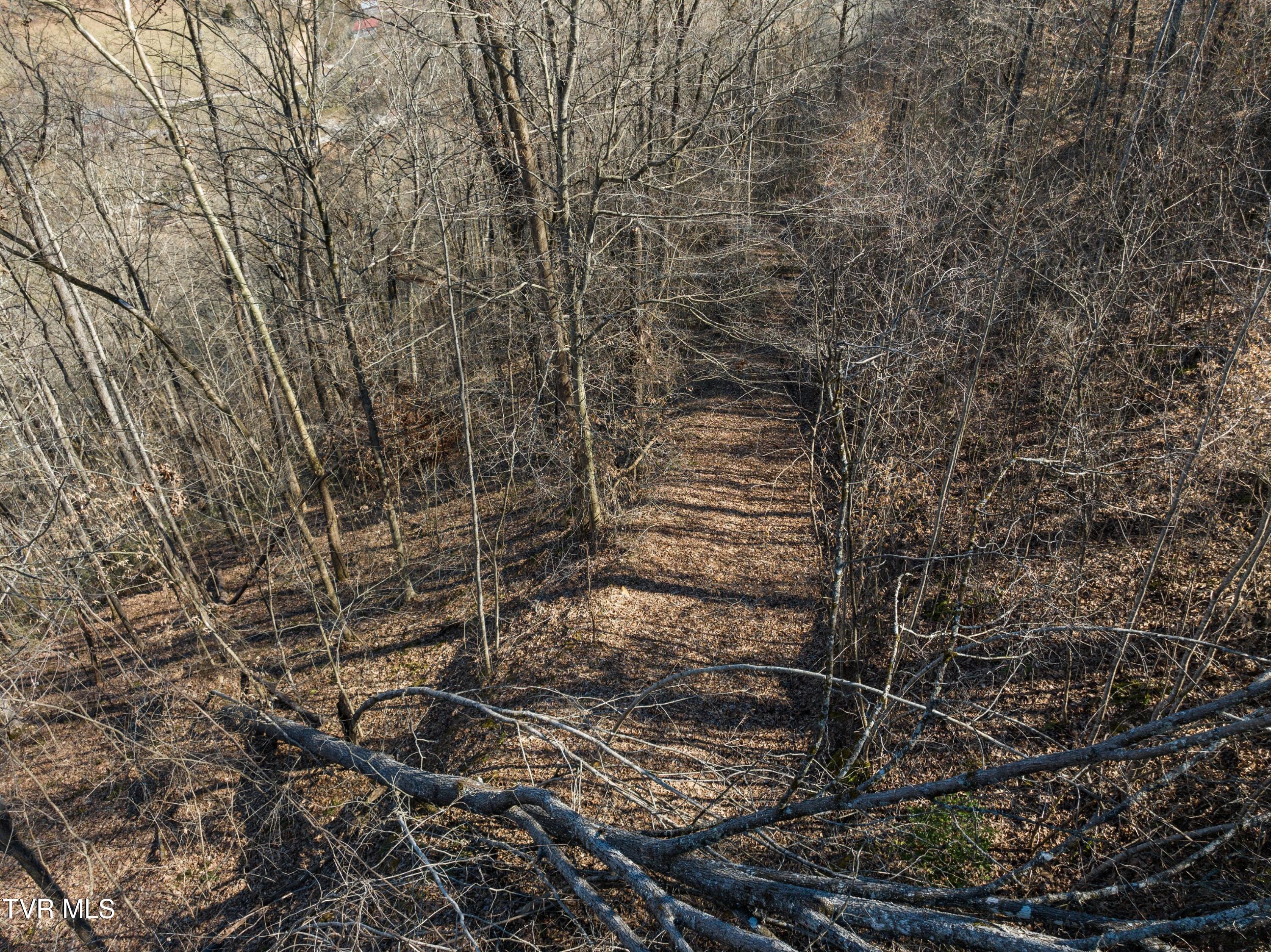 Tbd Cave Springs Road Tazewell, TN 37879 - Photo 8 of 37 033-CaveSpringsRoad-Tazewell-TN-37879-SM