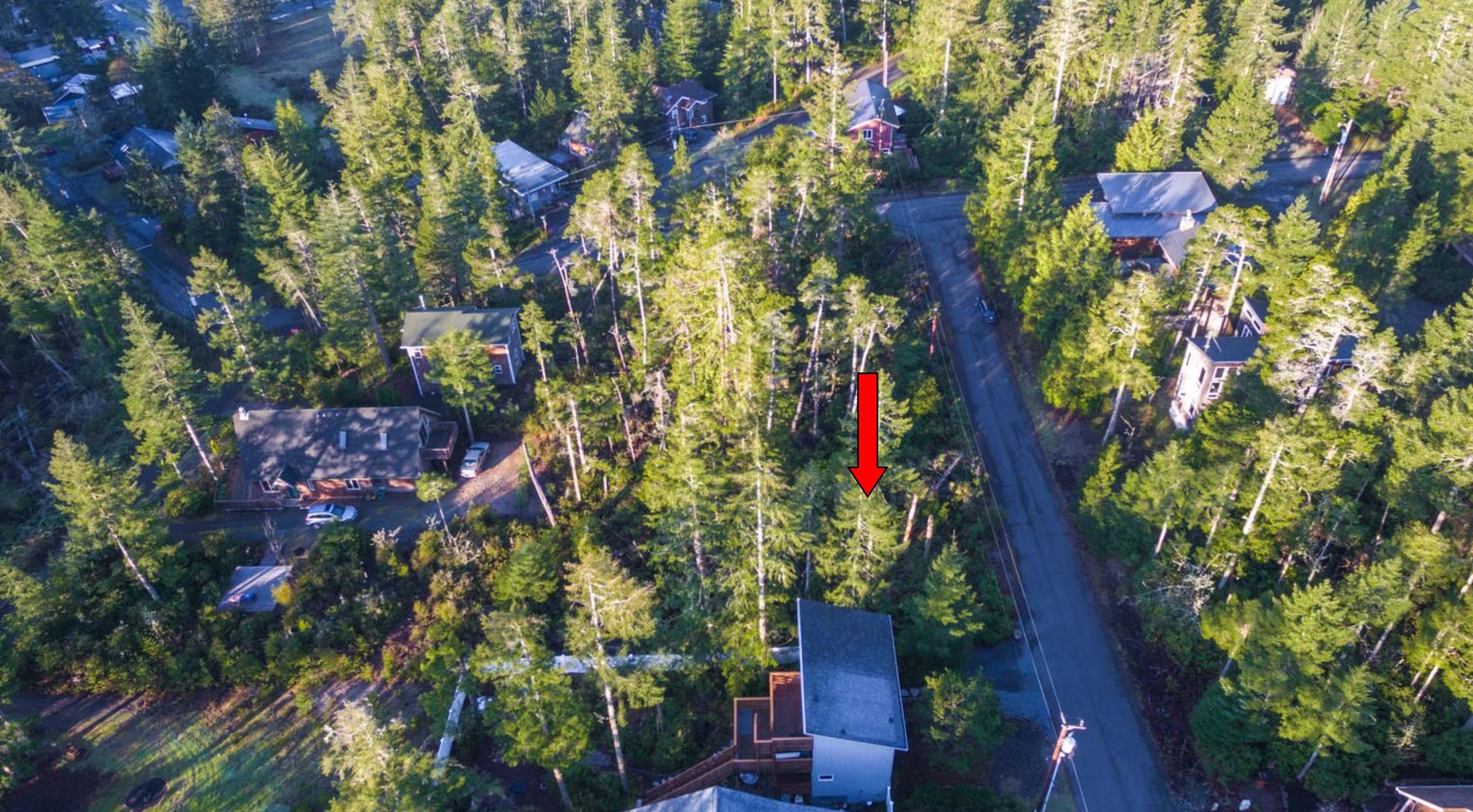 19th Street Manzanita, OR 97130 - Photo 4 of 14 aerial 6