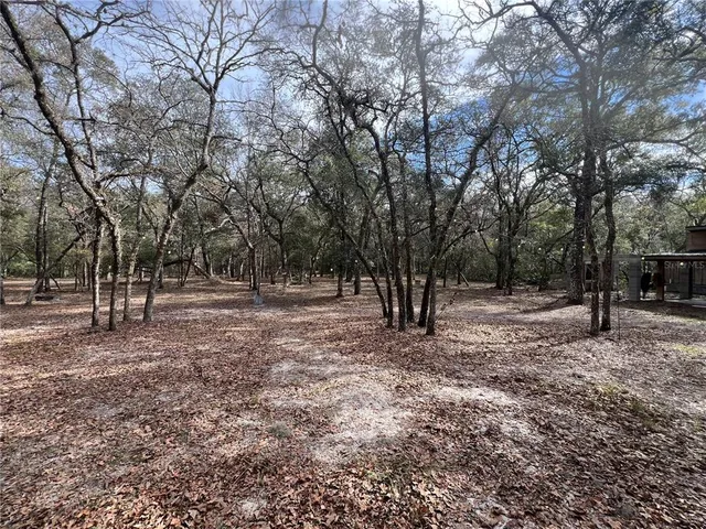a view of outdoor space with trees