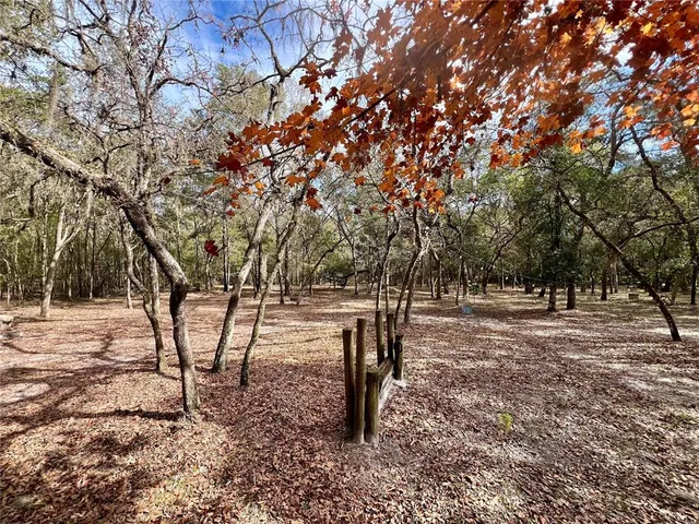 a view of a yard with a tree