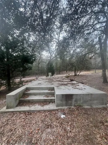 a view of a backyard with a tree