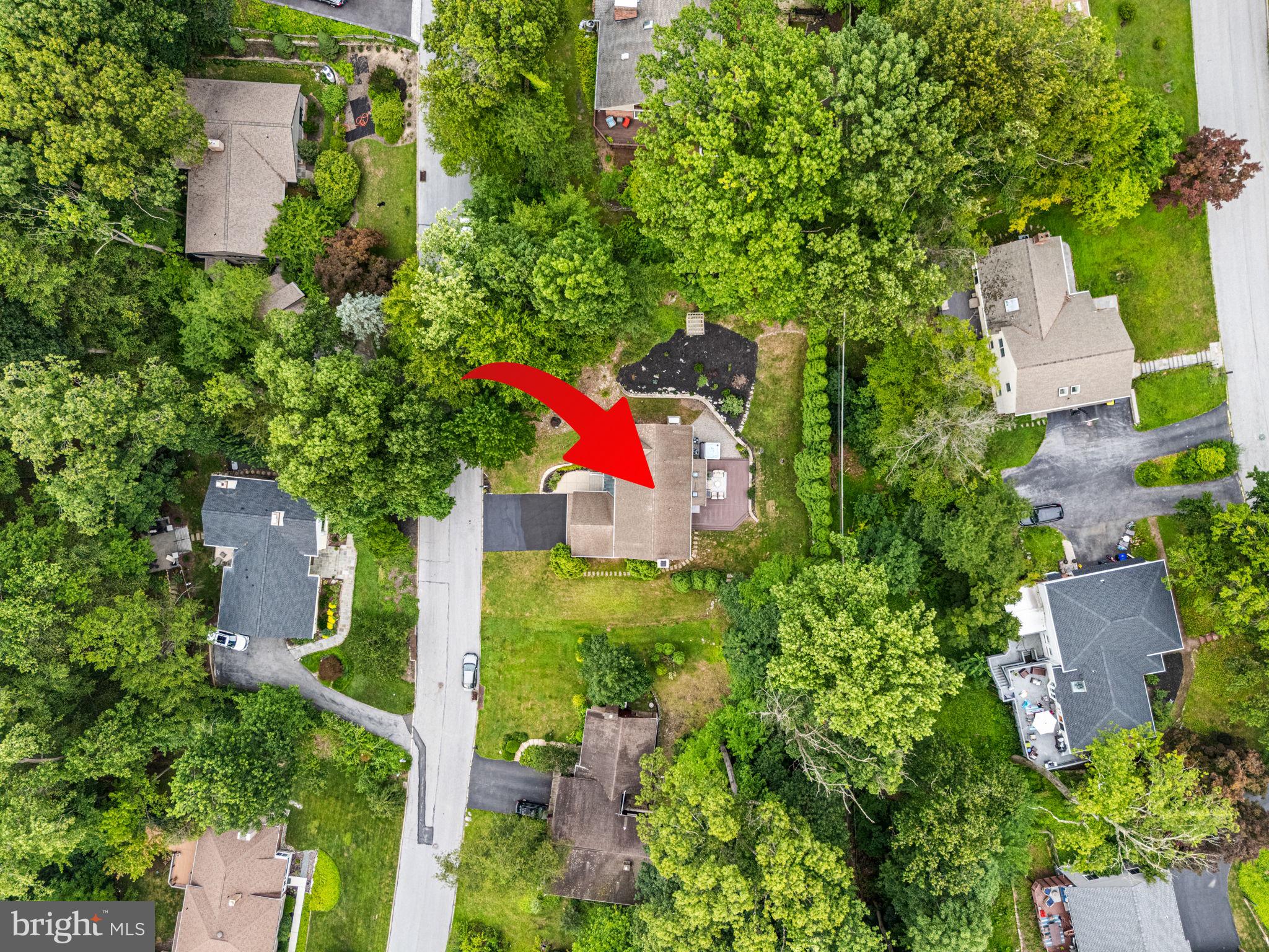 232 Vincent Road Paoli, PA 19301 - Photo 33 of 45 Surrounded by total greenery for privacy!