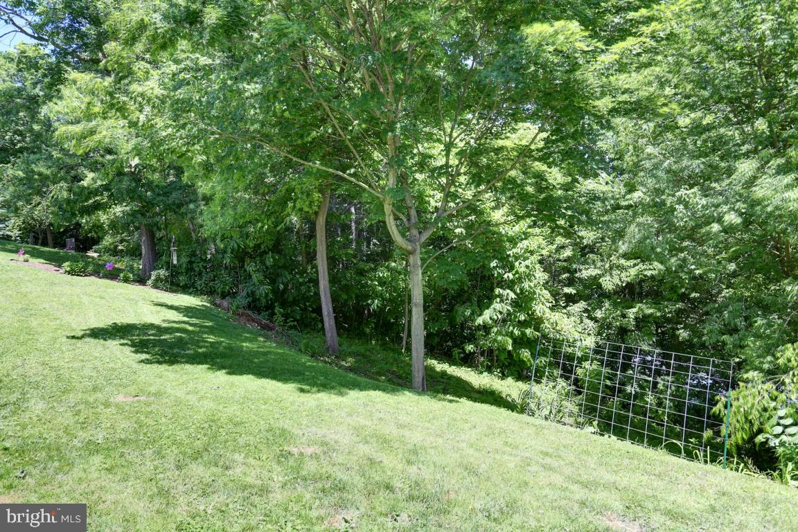 1928 Wilderness Road Lancaster, PA 17603 - Photo 8 of 28 Gallery Image 8