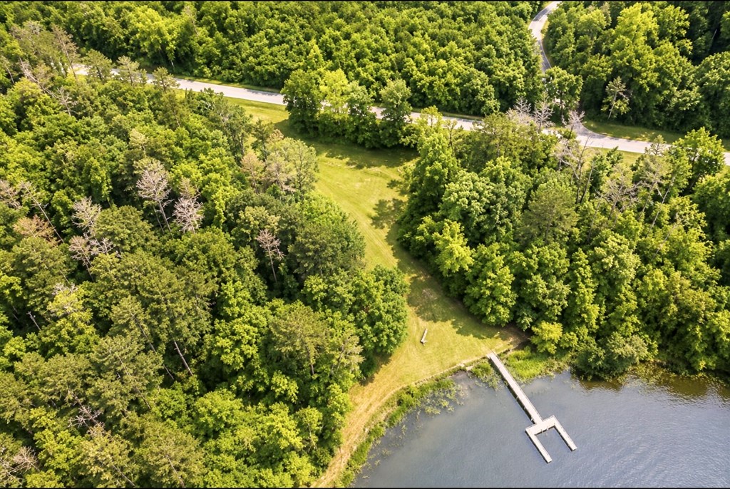 97 County Road 97 Abbeville, AL 36310 - Photo 4 of 14