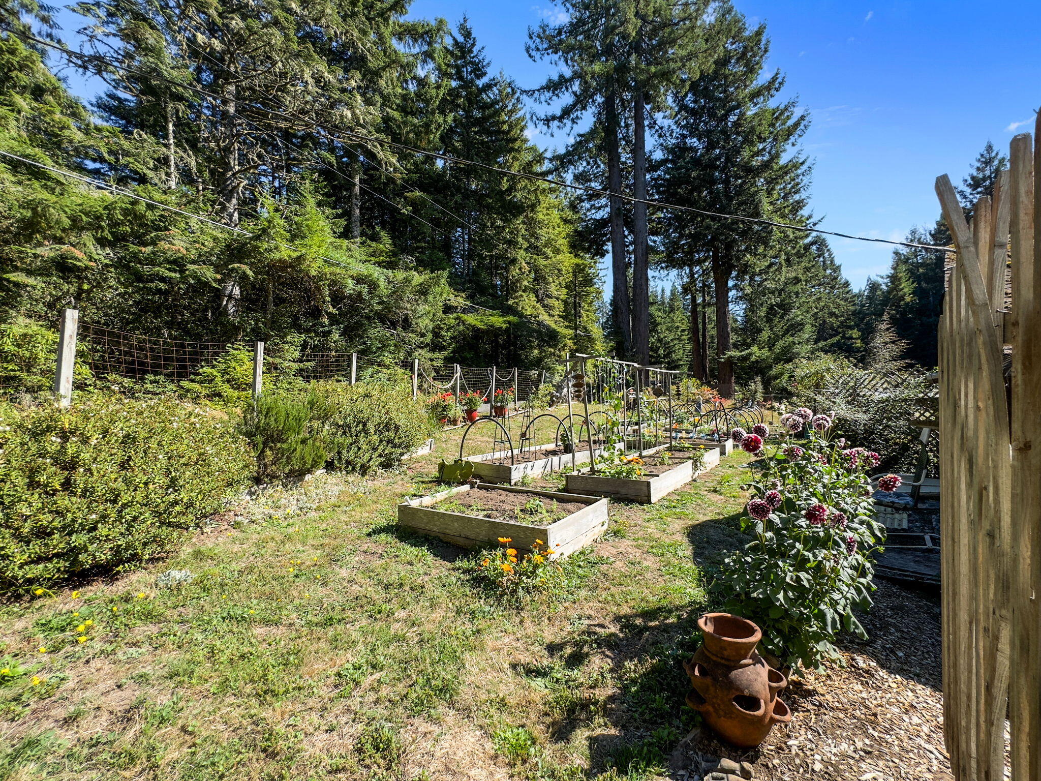 7097 Fickle Hill Road Arcata, CA 95521 - Photo 3 of 43