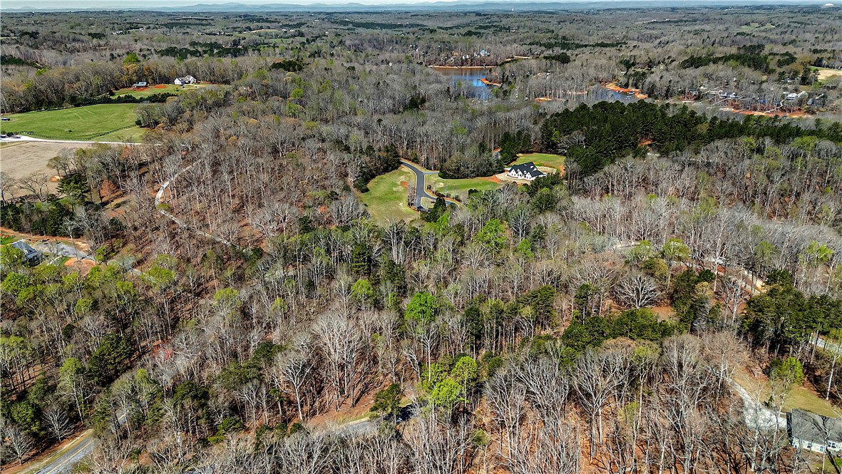 3.53 Coneross Point Drive Seneca, SC 29678 - Photo 11 of 13 This elevated view captures a serene landscape with a beautiful lake nestled among lush trees.