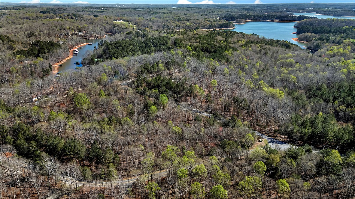 3.53 Coneross Point Drive Seneca, SC 29678 - Photo 4 of 13 An aerial perspective reveals a vast forested landscape bordering a serene lake.