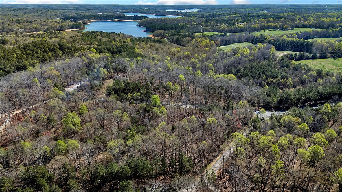 3.53 Coneross Point Drive Seneca, SC 29678 - Photo 5 of 13 This elevated view captures the tranquil beauty of a sprawling wooded landscape bordering a serene lake.