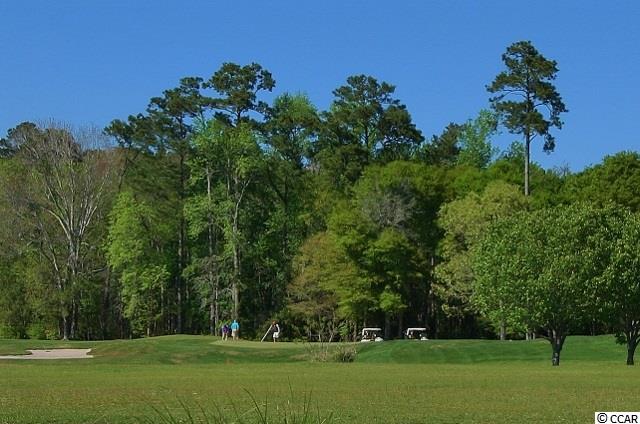 4615 Fringetree Drive Murrells Inlet, SC 29576 - Photo 24 of 24 Gallery Image 24