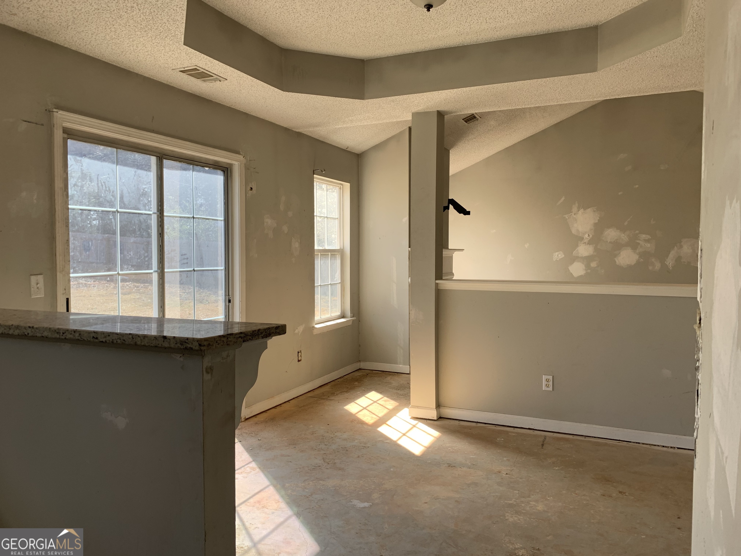 520 Vineyard Road Griffin, GA 30223 - Photo 5 of 6 an empty room with windows