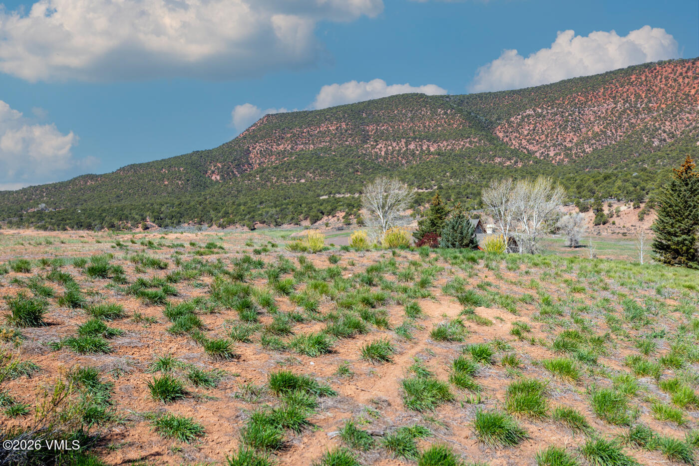 375 Red Fox Gypsum, CO 81637 - Photo 14 of 18 375 Red Fox. MLS-9