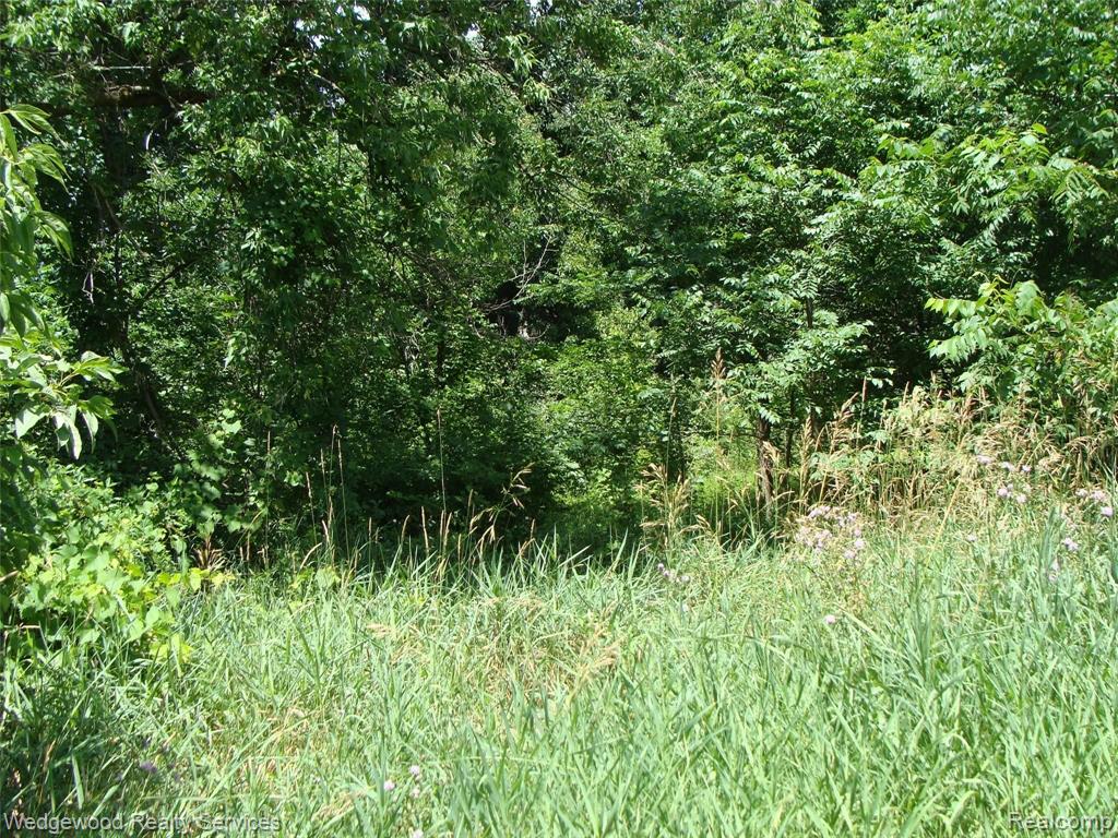 0 East Rose Center Road Pontiac, MI 48342 - Photo 6 of 18