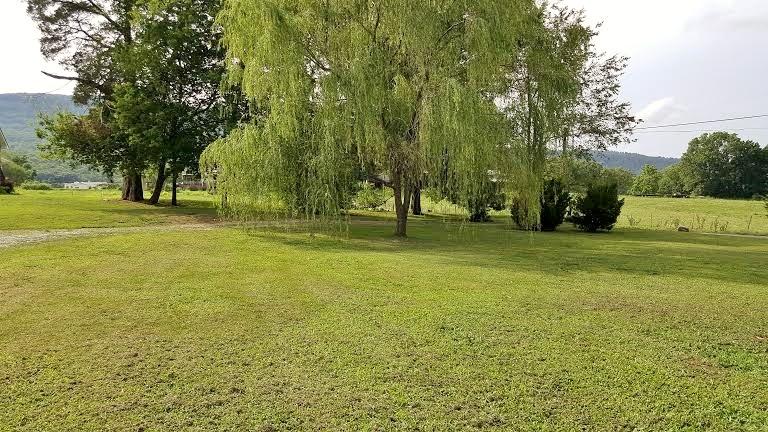 162 McWilliams Road Dunlap, TN 37327 - Photo 15 of 18 Front yard