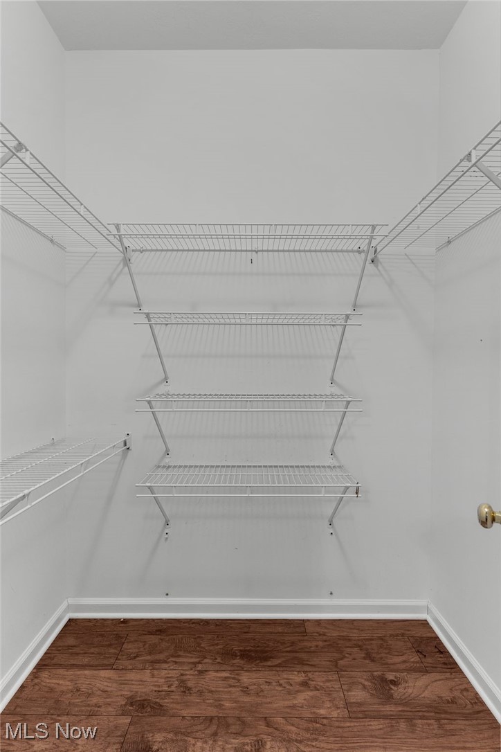 142 Wilcox Road Youngstown, OH 44515 - Photo 19 of 36 Walk in closet with wood finished floors in the master bedroom