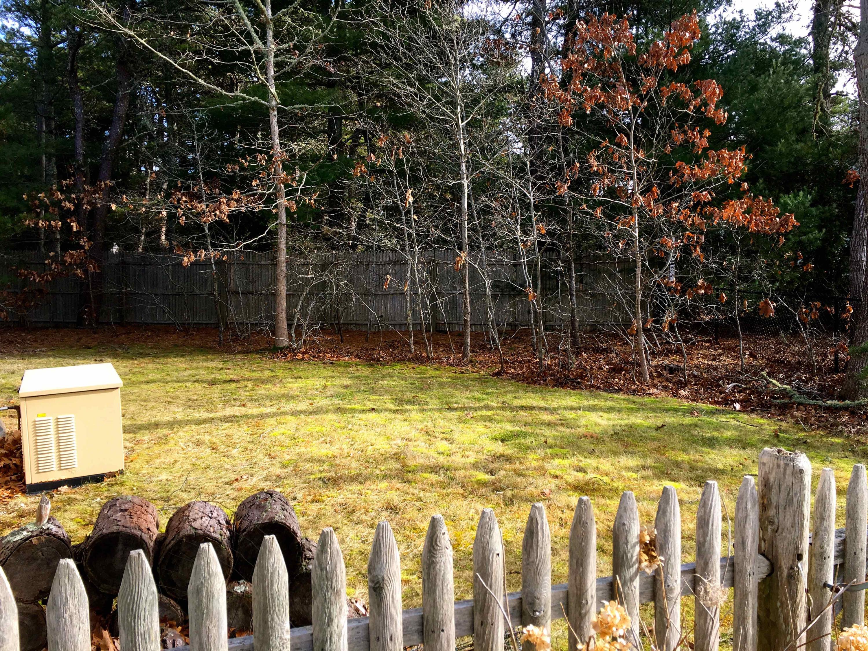55 Windy Bay Road Eastham, MA 02642 - Photo 27 of 29 Side yard and generator.