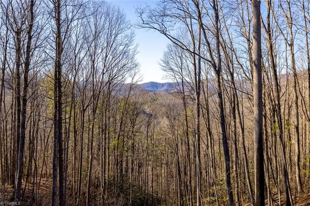 $685,000 | 703 Powder Horn Mountain Road, Deep Gap, NC 28618