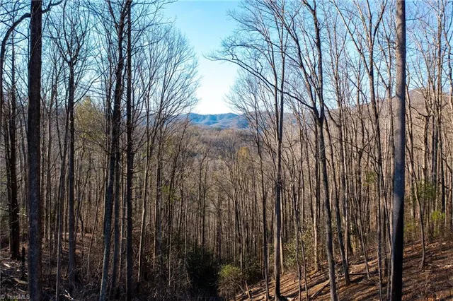 $685,000 | 703 Powder Horn Mountain Road, Deep Gap, NC 28618