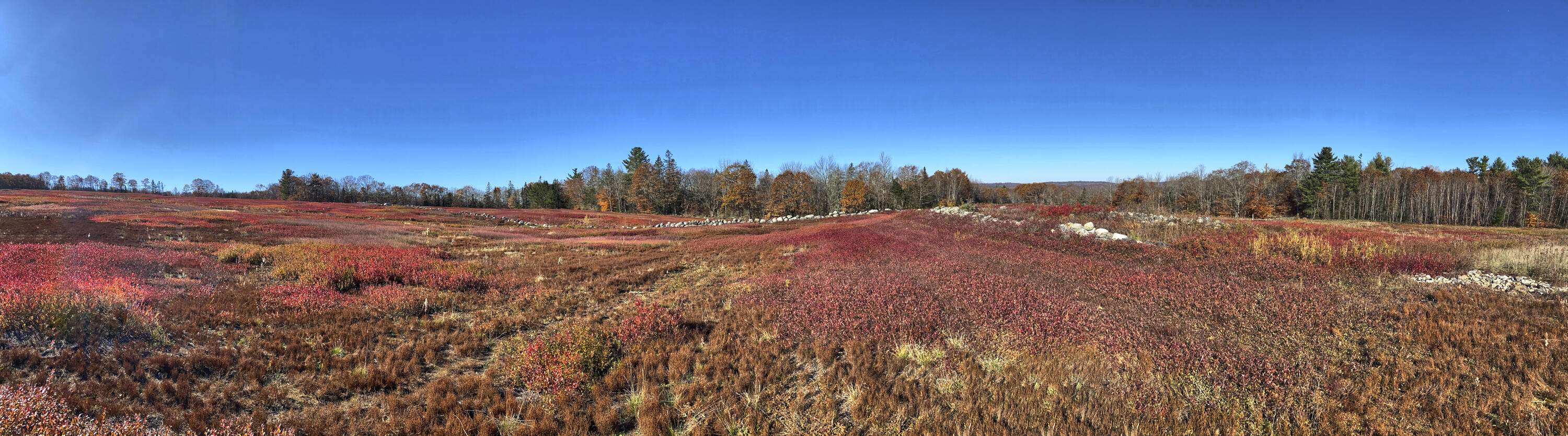 Lot # Bolin Hill Road Liberty, ME 04949 - Photo 8 of 10 Bolin Hill