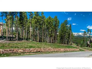 400 Timbertrail Road Breckenridge, CO 80424 - Photo 2 of 24 a view of a yard with an outdoor space