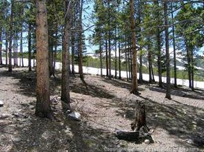 400 Timbertrail Road Breckenridge, CO 80424 - Photo 11 of 24 a view of a yard with trees