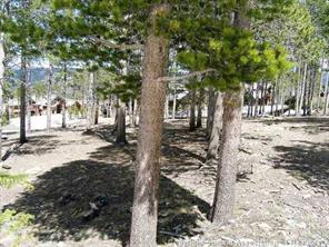 400 Timbertrail Road Breckenridge, CO 80424 - Photo 17 of 24 a view of a yard covered with snow in the yard