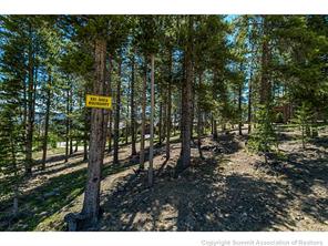 400 Timbertrail Road Breckenridge, CO 80424 - Photo 18 of 24 a view of a park that has large trees