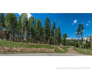 400 Timbertrail Road Breckenridge, CO 80424 - Photo 3 of 24 a view of a yard with a tree