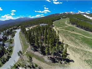 400 Timbertrail Road Breckenridge, CO 80424 - Photo 21 of 24 a view of a garden