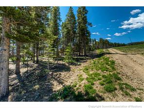 400 Timbertrail Road Breckenridge, CO 80424 - Photo 4 of 24 a view of outdoor space and yard