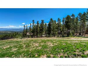 400 Timbertrail Road Breckenridge, CO 80424 - Photo 6 of 24 a open area with lots of trees