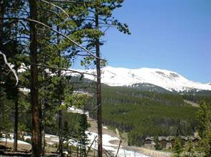 400 Timbertrail Road Breckenridge, CO 80424 - Photo 9 of 24 a view of a tree in a yard