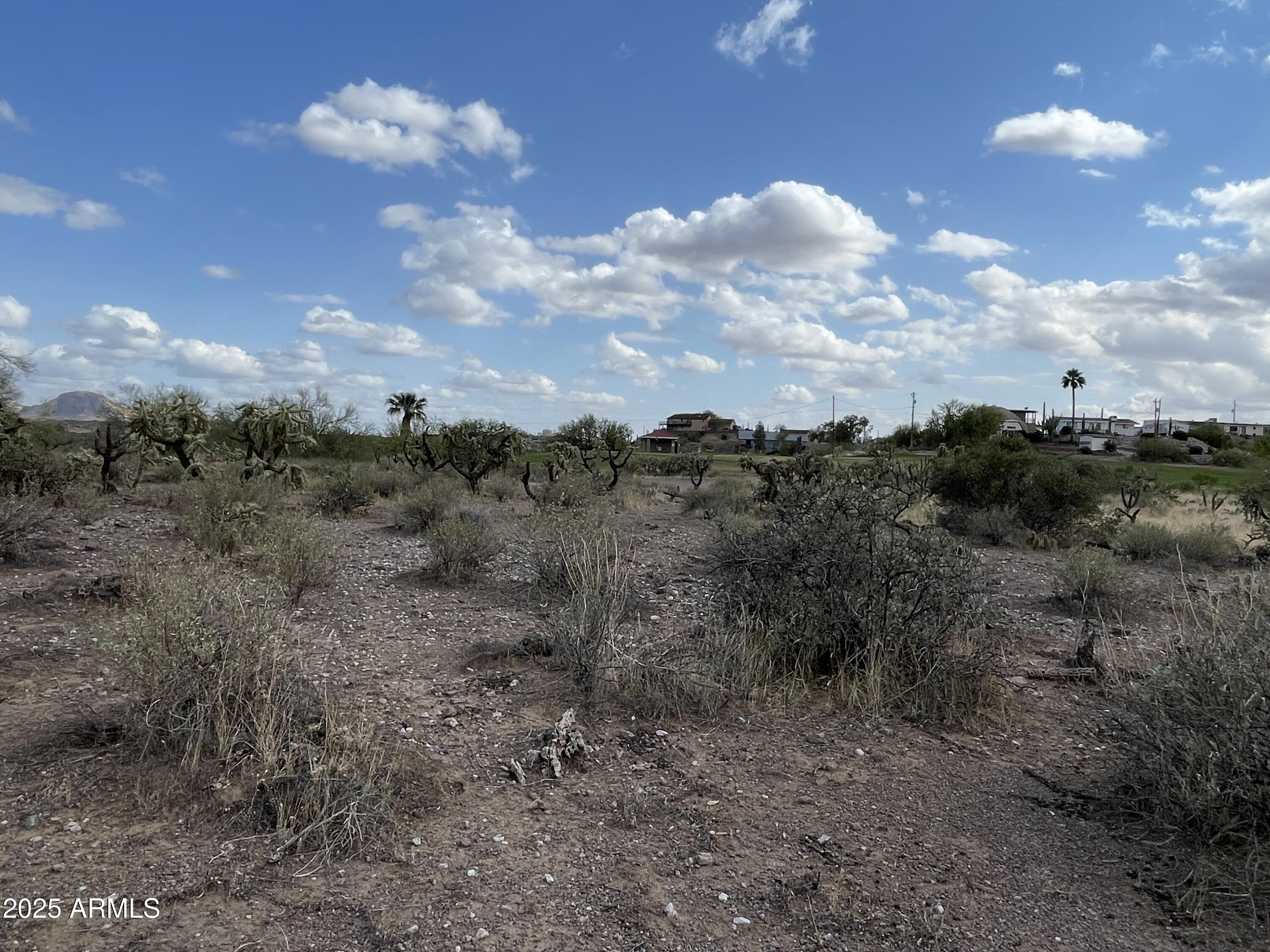 0 North Elephant Butte Road, Unit E Gold Canyon, AZ 85118 - Photo 5 of 6 a view of a lot of trees in the background
