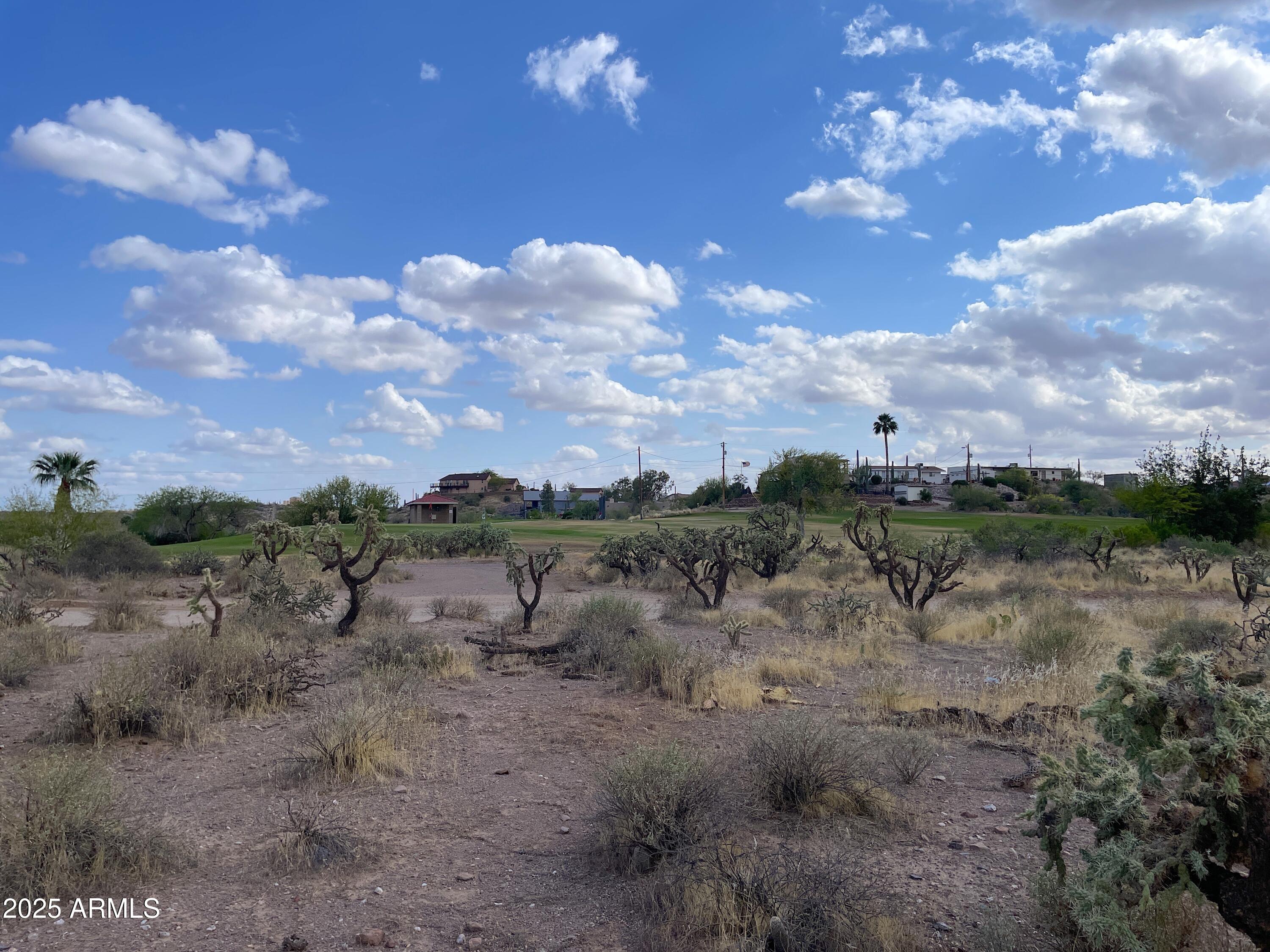 0 North Elephant Butte Road, Unit E Gold Canyon, AZ 85118 - Photo 6 of 6 a view of a dry yard with lots of trees