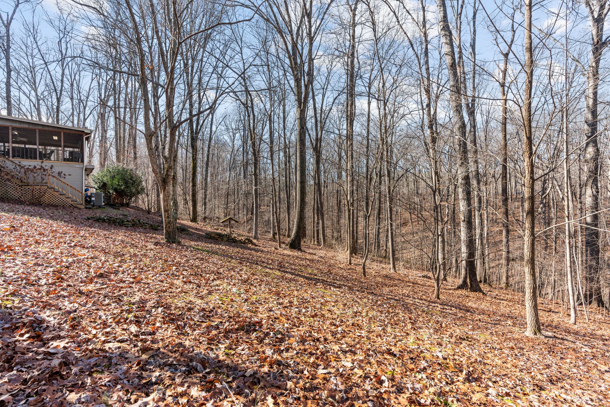 7155 Crystal Springs Road Fairview, TN 37062 - Photo 42 of 60 Gallery Image 42