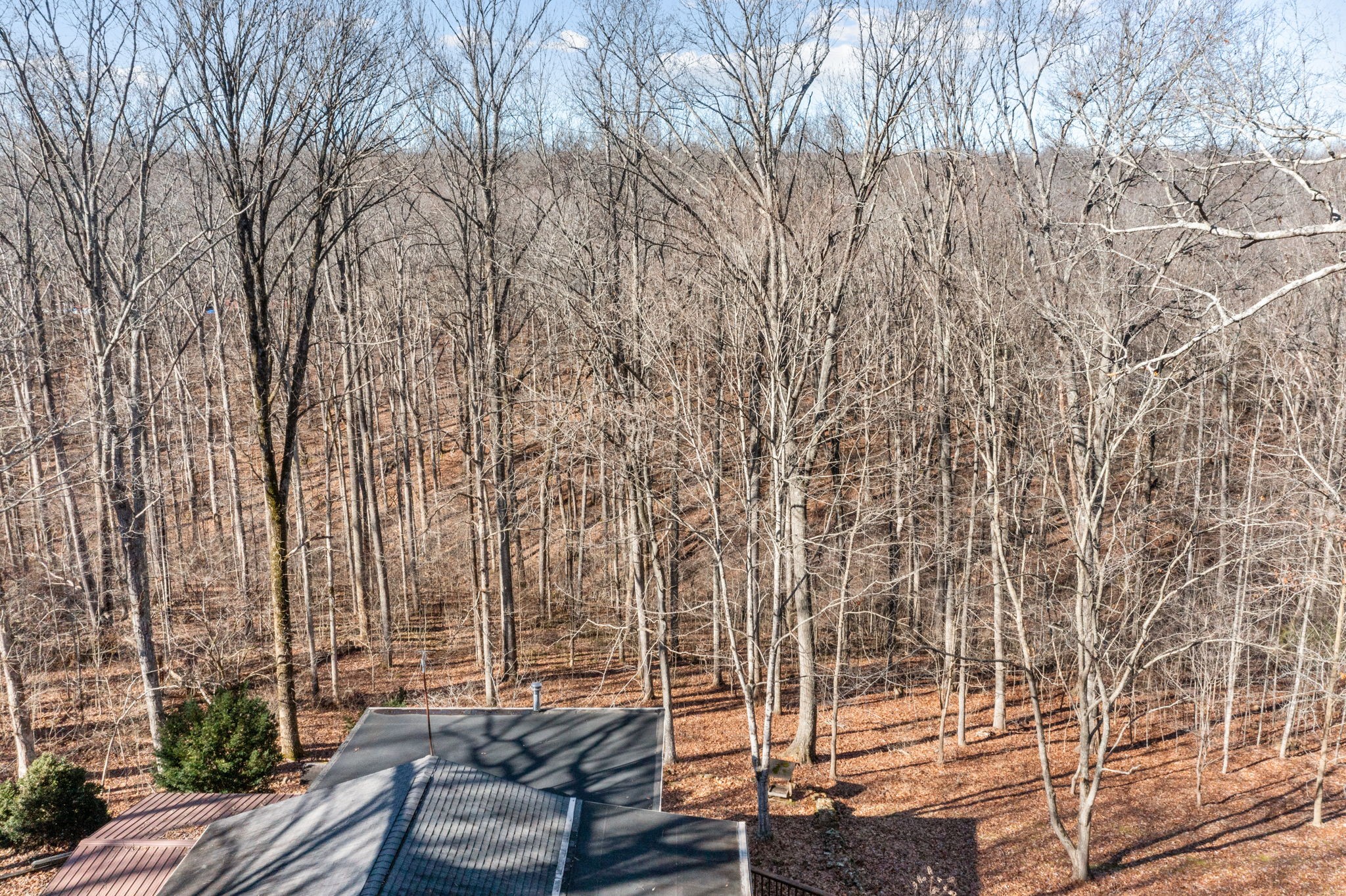 7155 Crystal Springs Road Fairview, TN 37062 - Photo 54 of 60 Gallery Image 54