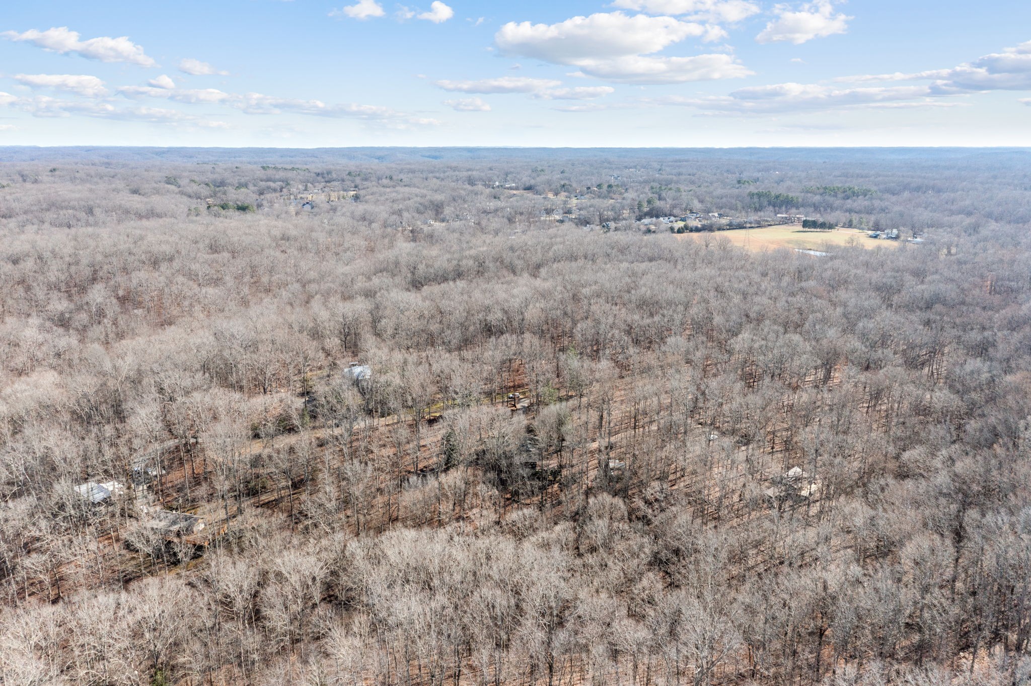 7155 Crystal Springs Road Fairview, TN 37062 - Photo 55 of 60 Gallery Image 55