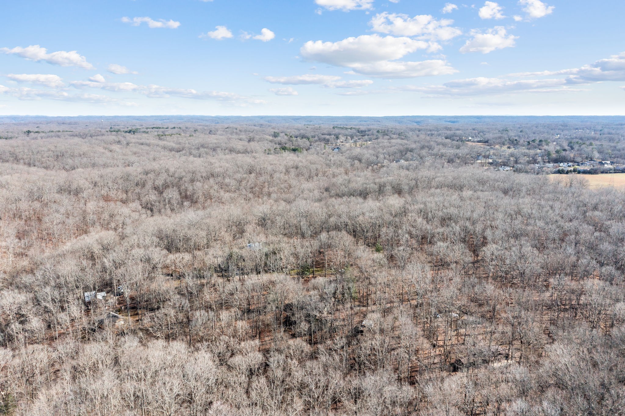 7155 Crystal Springs Road Fairview, TN 37062 - Photo 57 of 60 Gallery Image 57
