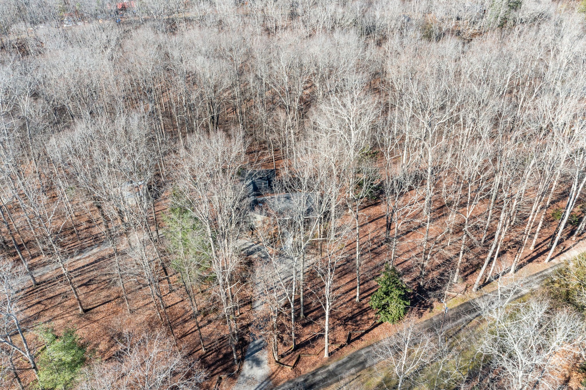 7155 Crystal Springs Road Fairview, TN 37062 - Photo 58 of 60 Gallery Image 58