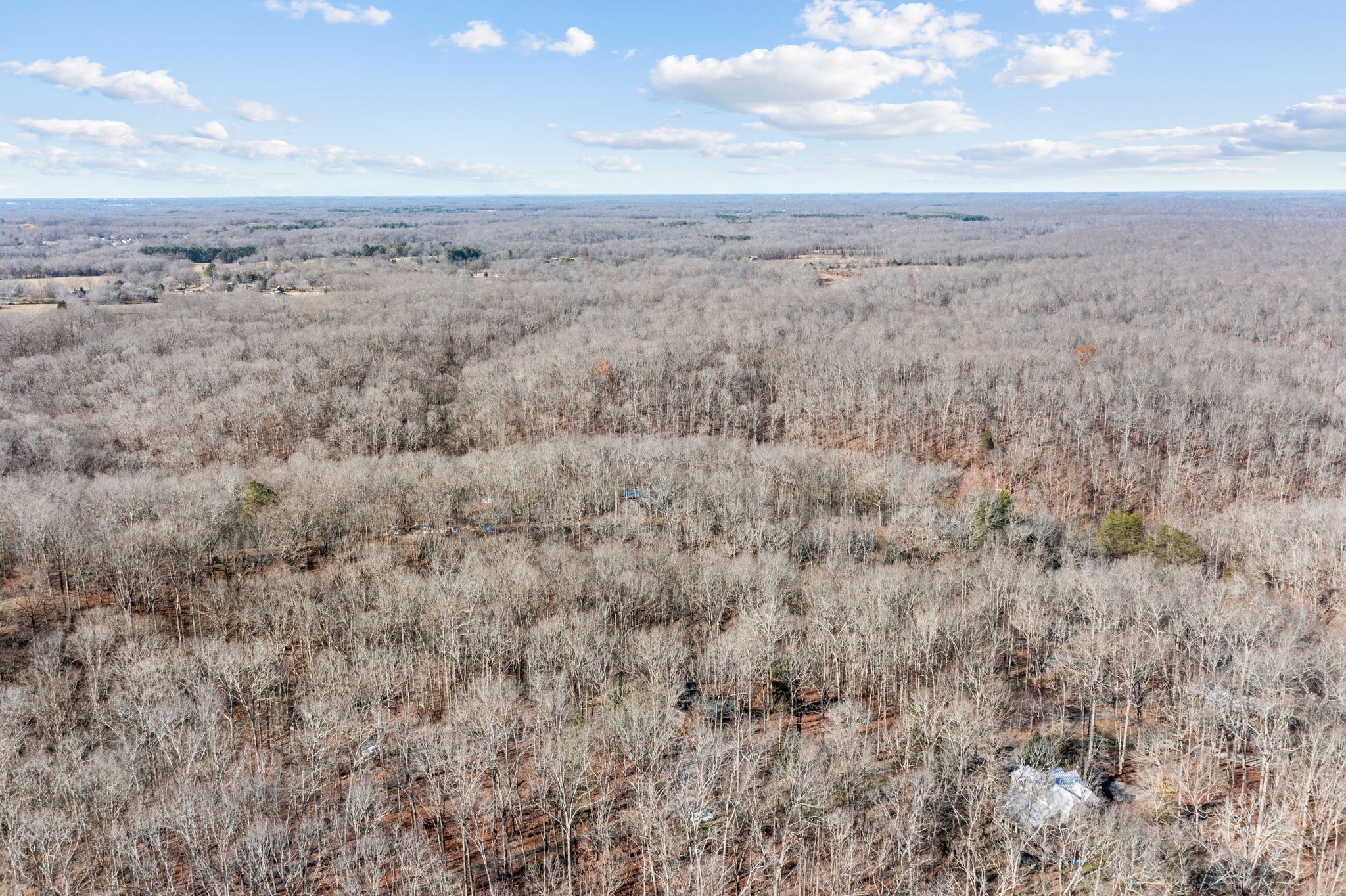 7155 Crystal Springs Road Fairview, TN 37062 - Photo 59 of 60 Gallery Image 59
