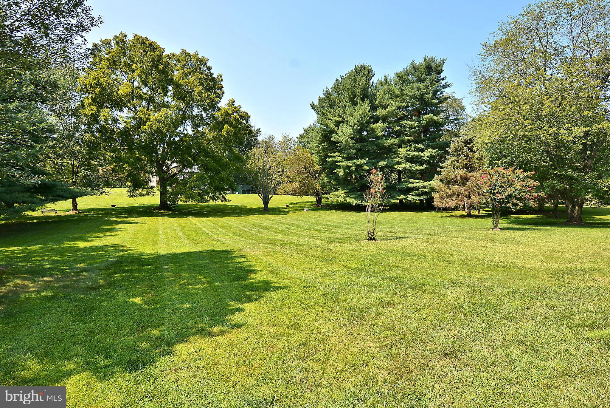 326 River Bend Road Great Falls, VA 22066 - Photo 2 of 13 Enormous level yard backing to common area