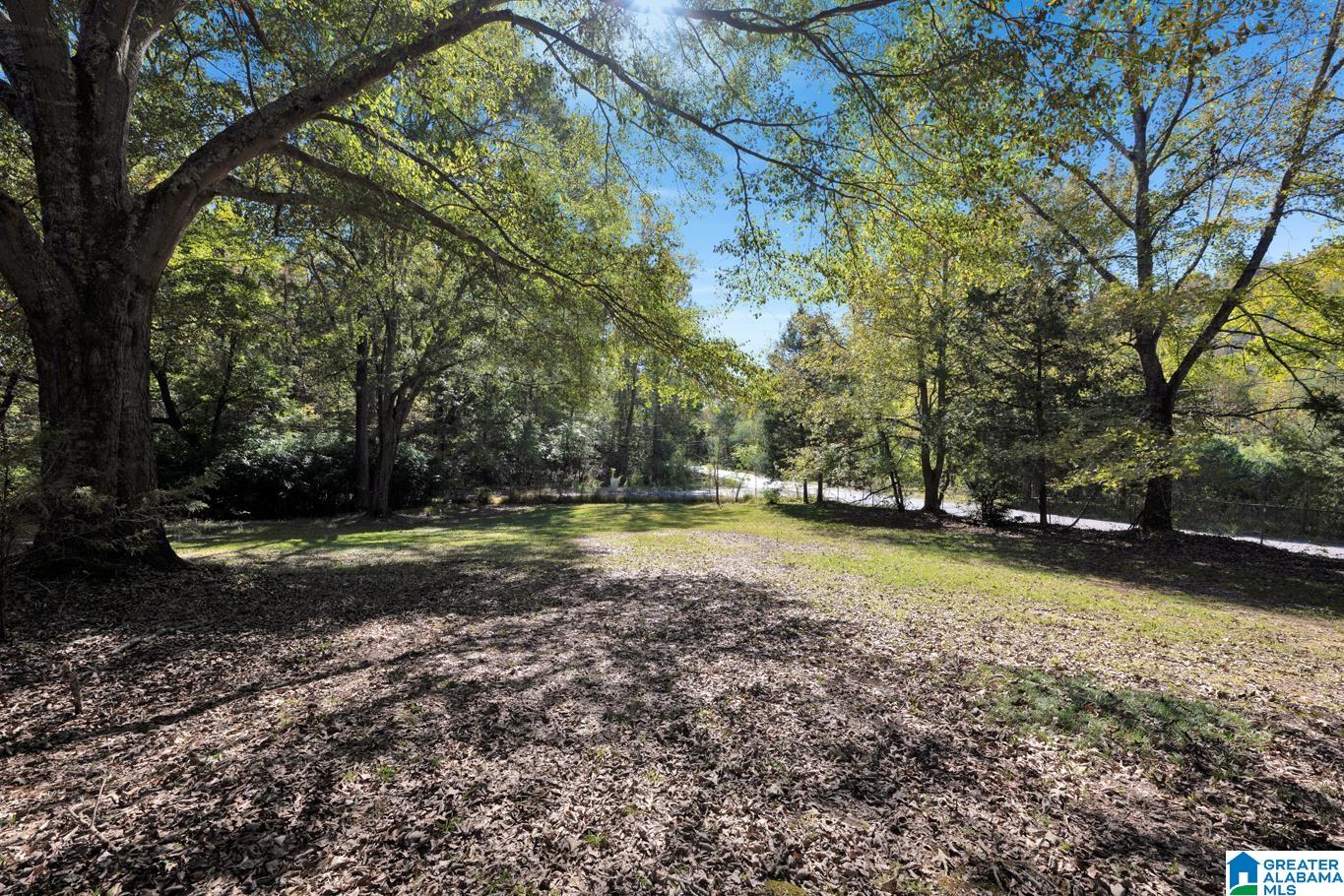 1366 Red Valley Road Remlap, AL 35133 - Photo 6 of 32