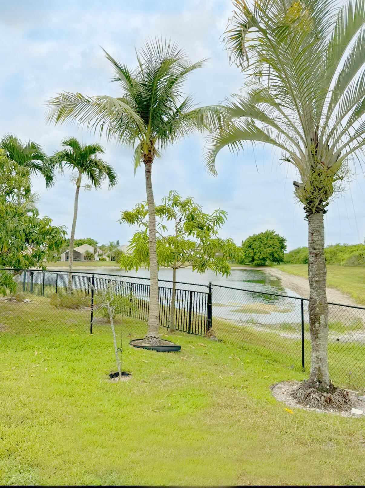 22079 Altona Drive Boca Raton, FL 33428 - Photo 3 of 8 a view of a swimming pool with a garden