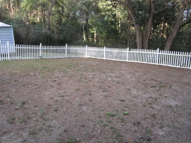 a view of a backyard